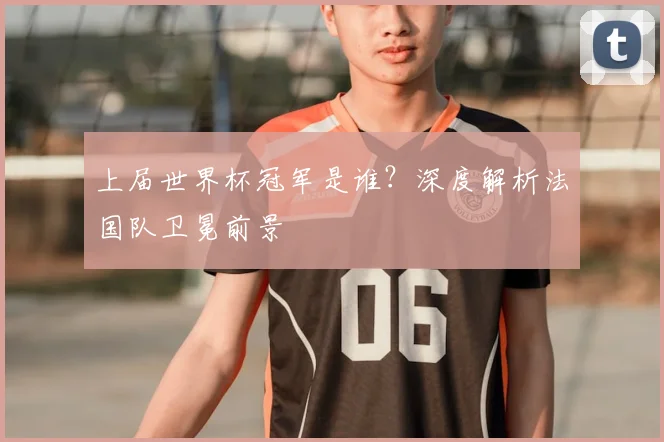 上届世界杯冠军是谁？深度解析法国队卫冕前景