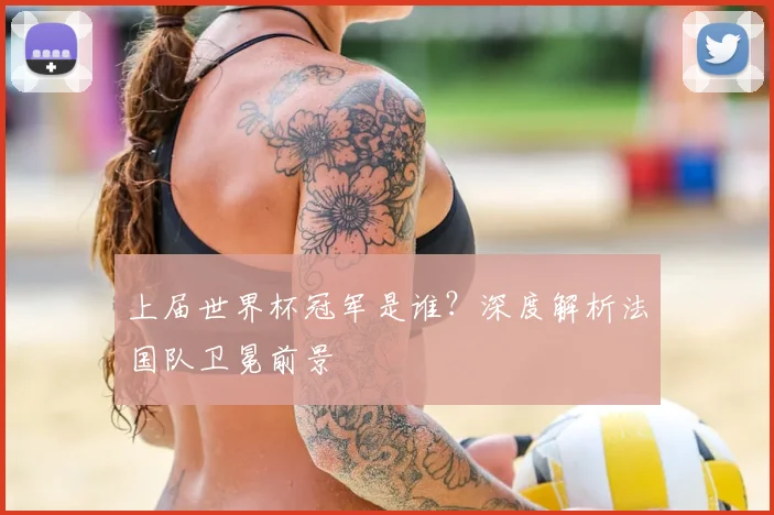 上届世界杯冠军是谁？深度解析法国队卫冕前景